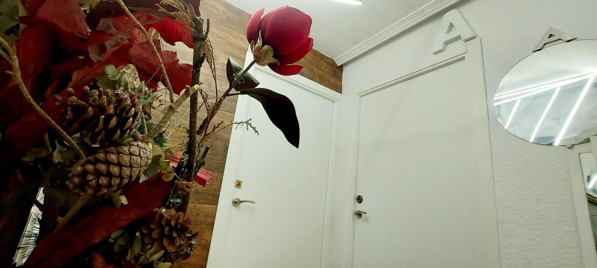 Modern Apartment In Alacant 60M² Wheelchair Accessible Alicante Kültér fotó